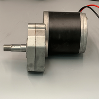 Motor DC Brushless 12V 24V 600W dengan poros 18mm untuk Mesin Pemotong Rumput, Motor Pemangkas Rumput Listrik Torsi Tinggi