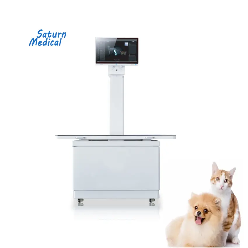 Best price veterinary digital x ray dynamic DR with flat panel detector for dog cat animal pet vet veterinary hospital