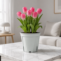 Vente en gros de pots à bonsaï contemporains, mignons, de grande taille, en plastique coloré, pour semis, avec trou de drainage, pour utilisation en jardin, légers et durables