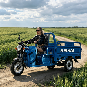 รถสามล้อซูเปอร์คาร์ BEIHAI ปี 2026 ราคาประหยัด มินิสกู๊ตเตอร์ 60V 2000W รถสามล้อโดยสารสำหรับผู้ใหญ่ - Product Image 2
