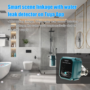 Tự động tắt động cơ Wifi van thép không gỉ DN50 (2 inch) tuya thông minh ứng dụng van điều khiển mở/đóng thời gian thiết lập - Product Image 6