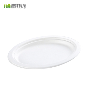 <span class=keywords><strong>Assiette</strong></span> ovale en fibres <span class=keywords><strong>de</strong></span> <span class=keywords><strong>canne</strong></span> à sucre écologique <span class=keywords><strong>Assiette</strong></span> à dîner en bagasse compostable <span class=keywords><strong>Assiette</strong></span> ovale en bagasse <span class=keywords><strong>de</strong></span> <span class=keywords><strong>canne</strong></span> à sucre - Product Image 2