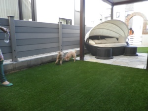 Nhà Máy Giá hàng rào tấm vườn nhà tùy chỉnh WPC rèn sắt màu vườn hàng rào laser cắt kim loại bài vườn hàng rào - Product Image 5