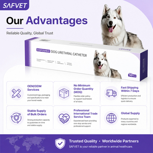 Sonda Urinaria <span class=keywords><strong>Veterinaria</strong></span> Foley para Perros, Catéter de 2 Vías con Globo, 5Fr 6Fr 8Fr, Desechable, de Silicona de Grado Médico - Product Image 2