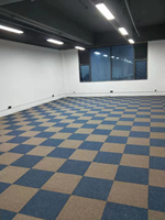 Dalles de moquette de bureau modernes 50*50cm, couleur unie, dos en nylon PVC, rembourrées, bouclées, tissées à la machine, en polypropylène