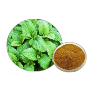 100% natural lemon balm extract rosmarinic acid p.e.