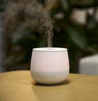 2024 produits tendance parfum 80ml appareils ménagers intelligents avec mini diffuseur d'arôme d'huile essentielle certifié CE et ROHS