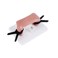 Modèle de formation d'anastomose intestinale KyrenMed avec clip de support de modèle de suture pour la pratique des sciences médicales de la chirurgie laparoscopique