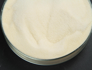 Gélatine en poudre de qualité alimentaire en vrac, gélatine bovine halal, additif alimentaire pour distributeurs de confiserie en Afrique - Product Image 4