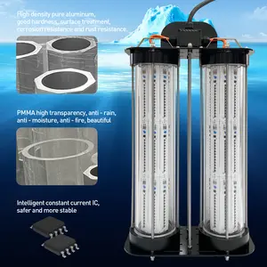 6000W एलईडी पानी के नीचे उच्च गुणवत्ता IP68 ग्रीन पानी के नीचे मछली आकर्षित लालच प्रकाश चमकती दीपक