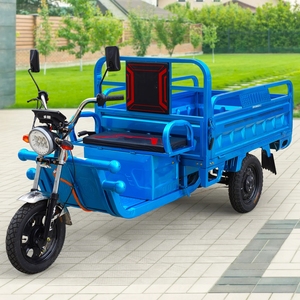Best Selling 1000W Electric Cargo Tricycle with <b>2</b> <b>Passengers</b> 48V Motorized Three-Wheel Car Available Open Closed Body Types Sale - Product Image 2