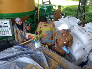 Sécheur à céréales de grande capacité, sécheur à riz paddy pour le séchage du riz paddy, du maïs - Product Image 5