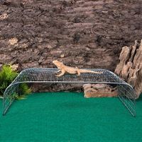 Plateforme de basking en métal pour reptiles, rampe d'escalade pour tortues, point de basking pour dragons barbus, décoration de terrarium OEM&ODM