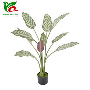 Plantas Artificiais <span class=keywords><strong>Calathea</strong></span> 100cm Plantas Artificiais Plantas De Piso Falso Em Vaso Para Decoração De Escritório Interior - Product Image 1