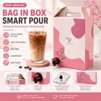 Pochettes souples personnalisées 3L 5L de qualité alimentaire, anti-humidité, avec bec verseur et valve supérieure pour vin, bière, jus et boissons énergisantes, sérigraphiées