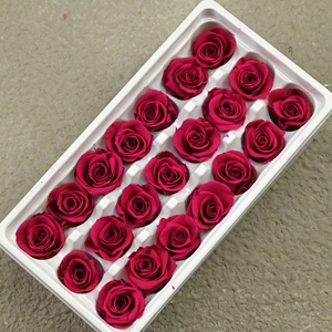 Rosa Eterna Stabilizzata Grado B 2-3cm per Cupola di Vetro Fai da Te, Materiale per Teste di Fiori per San Valentino, Capodanno Cinese, Ringraziamento - Product Image 6