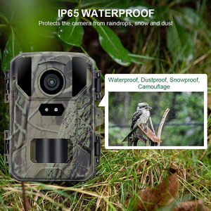 Nueva Cámara de Caza Mini800 para Exteriores, 4K, 50MP, CMOS, Infrarroja, 1080P, Impermeable, para Monitoreo de Animales - Product Image 3