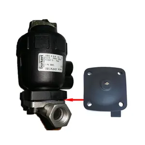 DN15 DN25 DN40 DN50 Burkert Van Màng Cơ hoành PTFE + Epdm Axit Kiềm Kháng Cao Su OEM Nhiệt Độ Cao Điện Từ