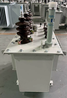 Transformateurs immergés dans l'huile en aluminium S11-M-50/10