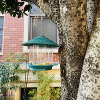 Mangeoire à oiseaux en plastique résistante à la rouille, à fixer au mur, pour pelouse, balcon, jardin, cour arrière, extérieur, suspendue