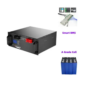 Kundenspezifischer wiederaufladbarer 48 V 51,2 V 100 Ah 200 Ah Lifepo4 prismatischer Lithium-Zellenpack Li-Ionen-Batteriepack für Off-Grid-Solarsystem