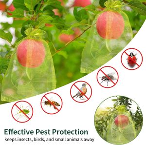 Huamaohengchun Redes para Frutas Verdes de 6x9 Pulgadas para Árboles Frutales, Bolsas de Malla con Cordón para Proteger Verduras, Tomates, Fresas y Jardín - Product Image 3