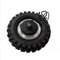 Moteur de moyeu à engrenages sans balais à couple élevé 24-48V 300Nm 1000W, pour pneu tout-terrain à faible vitesse, double arbre, étanche à la poussière et à l'eau