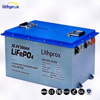 Batería de Motor Eléctrico para Montacargas LFP de Grado A, 38.4V 300Ah, Amplio Rango de Temperatura, Segura y Estable para Montacargas de Cuatro Ruedas, CE UN38.3