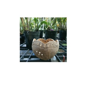 Vente en gros pot de fleur de coquille de noix de coco écologique/pot de coquille de noix de coco du Vietnam fabrique - Product Image 2