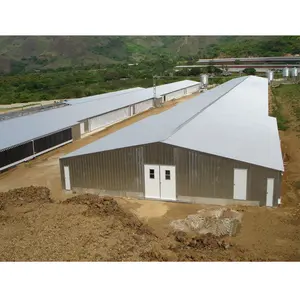 poultry house construction layer poultry farming