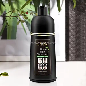 Black Hair Shampoo Wholesaler 2020 Hot Sale Most Best Popular Hair Dye Product Black Hair Shampoo 2 In 1 Bottle ODM OEM
