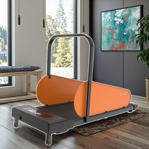 Tapis roulant électrique de haute qualité pour chiens de taille moyenne Écran LED Programme d'exercices à usage domestique avec affichage - Product Image 2