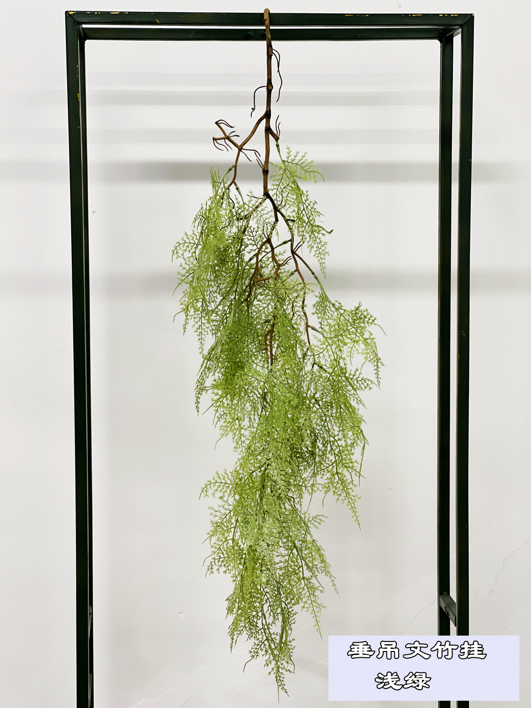 Hanging asparagus hanging light green