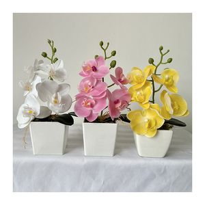 Mini <span class=keywords><strong>Bonsai</strong></span> 5 Kuntum Anggrek Sentuhan Asli <span class=keywords><strong>Bonsai</strong></span> Anggrek <span class=keywords><strong>Phalaenopsis</strong></span> Set Tanaman Anggrek Sentuhan Asli - Product Image 2