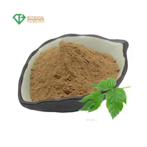 Pure Plant Ashitaba Stem And Leaf Extract 10:1Brown Ashitaba Capsule Ashitaba Seeds Powder