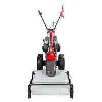 EUROSYSTEMS Tondeuse à gazon "Classic" P55 EVO Largeur de travail du moteur 53cm Tondeuses à gazon à essence à poussée manuelle