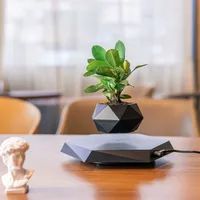 Maceta flotante artificial para plantas, taza de bonsái de levitación magnética, regalos personalizados, enamórate de los regalos decorativos minimalistas