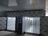 Industriële voedseldroogmachine met warmtepomp, droogkast voor worst, vlees, rundvlees, groenten en fruit