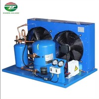 Unité de Condensation 6HP pour Chambres Froides de Conservation - Ensemble Compresseur-Condenseur de Fabrication Directe