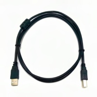 Câble USB d'imprimante Usb Para Impresora Usb2.0 a mâle à Type B mâle Usb 2.0 câble d'imprimante pour imprimante Scanner Fax Machine