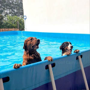 Piscina Infantil Portátil Keyubo de 10*5*1m - Piscina <span class=keywords><strong>con</strong></span> Marco de PVC Ligero, Fácil de Instalar en el Jardín y el Hogar - Product Image 3