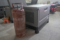 5KVA-30KVA 4-Zylinder Dual-Fuel-Generator Benzin LPG Ultra-Leise ATS Automatischer Start Korrosionsbeständiger Stahl OEM ODM