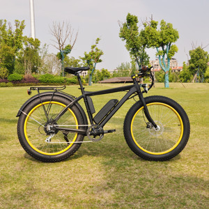 Richbit LOHAS/OEM — vtt électrique 48V 500/2500W, pneus larges avec pédale à vendre, chinois - Product Image 2