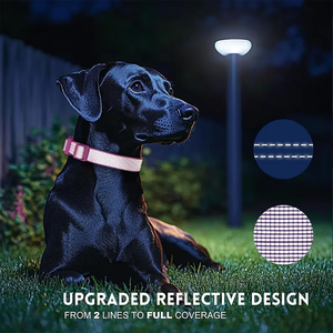 Kişiselleştirilmiş Pet yaka gece görüş yavru köpek gerdanlık tam yansıtıcı naylon yastıklı köpek tasması adı ile özel - Product Image 5