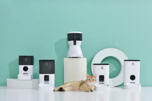 Nuevo Producto de Proveedores de Mascotas, Dispensador de Comida de Plástico con Botón, Comedero para Perros y Gatos, Éxito de Ventas, Tendencia, Envío Directo - Product Image 6