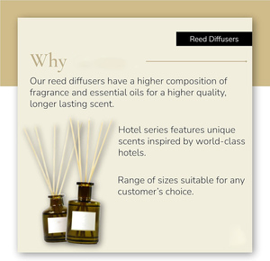 Luxury Glass <b>Reed</b> <b>Diffuser</b> Set with Essential Oil Fragrance Paraben Free Long-Lasting Air Freshener <b>for</b> Home Use - Product Image 3