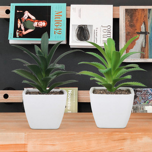 人気オフィス人工鉢植え装飾プラスチックミニ人工多肉植物盆栽卸売 - Product Image 3