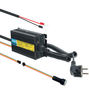 Le chargeur intelligent de batterie au lithium LFP 24v 29.2v 5a est applicable aux appareils intégrés, aux chariots de bricolage ou aux équipements médicaux - Product Image 5