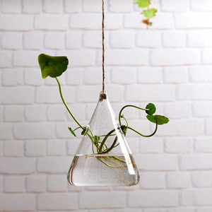 HOT Glass <b>Large</b> Hanging Planters Water Air Plant Succulent Containers Terrarium Kits With Strings Rope for Home Garden Balcony - Product Image 3