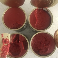 Sauce tomate lisse de qualité supérieure en conserve, concentré de tomates 28%, idéal pour la garniture de pizza et les condiments de burger